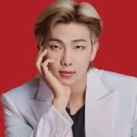Kim namjoon(dalta dominante){25}