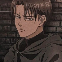 Levi