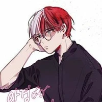 Todoroki estudioso