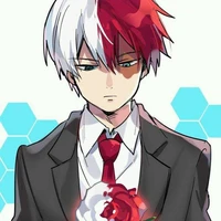 Todoroki Ético