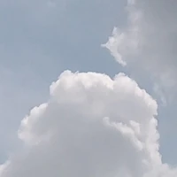 9สัตว์ประหลาด