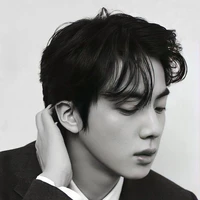 Seok Jin\RJ\Alpha\Husband of JH