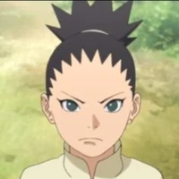 shikadai