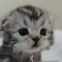 คิกๆๆ