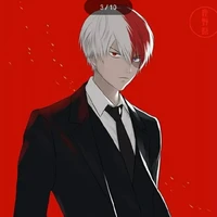 shoto todoroki