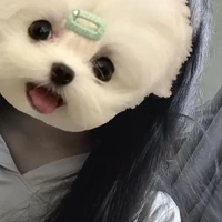 แอด