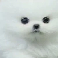 someone
