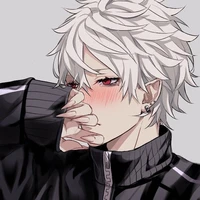 Alexander(Y/N)