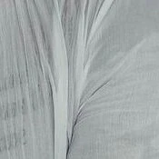 unknown 1