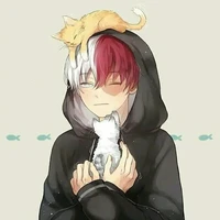 Shoto Todoroki