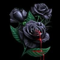 BlackRose