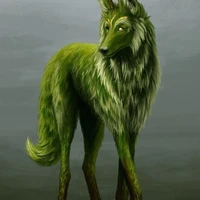 Loup