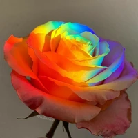 Autora[eu]