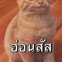 แอด