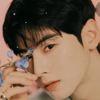 cha Eunwoo¹