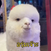 แอดเองฮาฟฟฟ