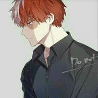 shoto todoroki