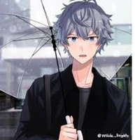 Apolo flamingo/fl 2nd bro