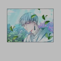 Adam Windor/ ml brother