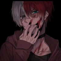 Shoto Todoroki