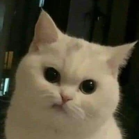 แอด~~