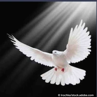 Holy Spirit 