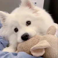 แอด
