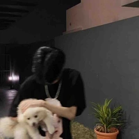 ทีม