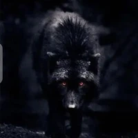 Dark/Alexandra