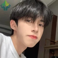 ดาวเหนือ(เพื่อนพระเอก)