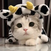 เซน