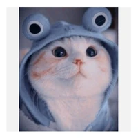 fluf