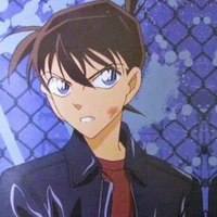 Sinhichi kudo
