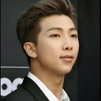 Kim Namjoon/rm/joon/joonie🐨