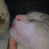 แอดคนสวย❤️