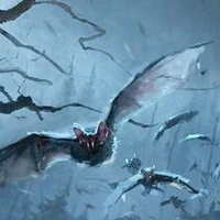 The Bats