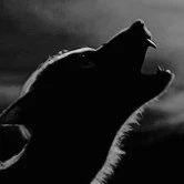 The Wolves