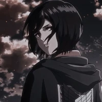 ☯mikasa☯