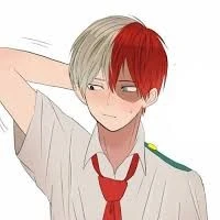 Shoto Todoroki/Shoto