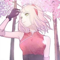 Sakura (A)