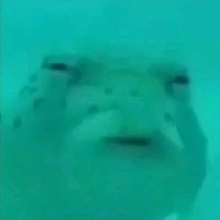แอด