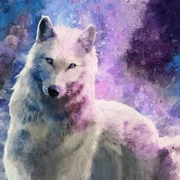 jk wolf