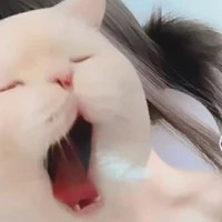 ฟูจิ