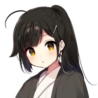 Y/N