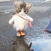 ตัวปลากอบ