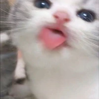 แอด