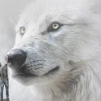 Giant Wolf 🐺