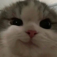 แอดไง