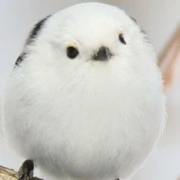 เเอดเอง