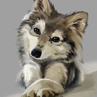 author